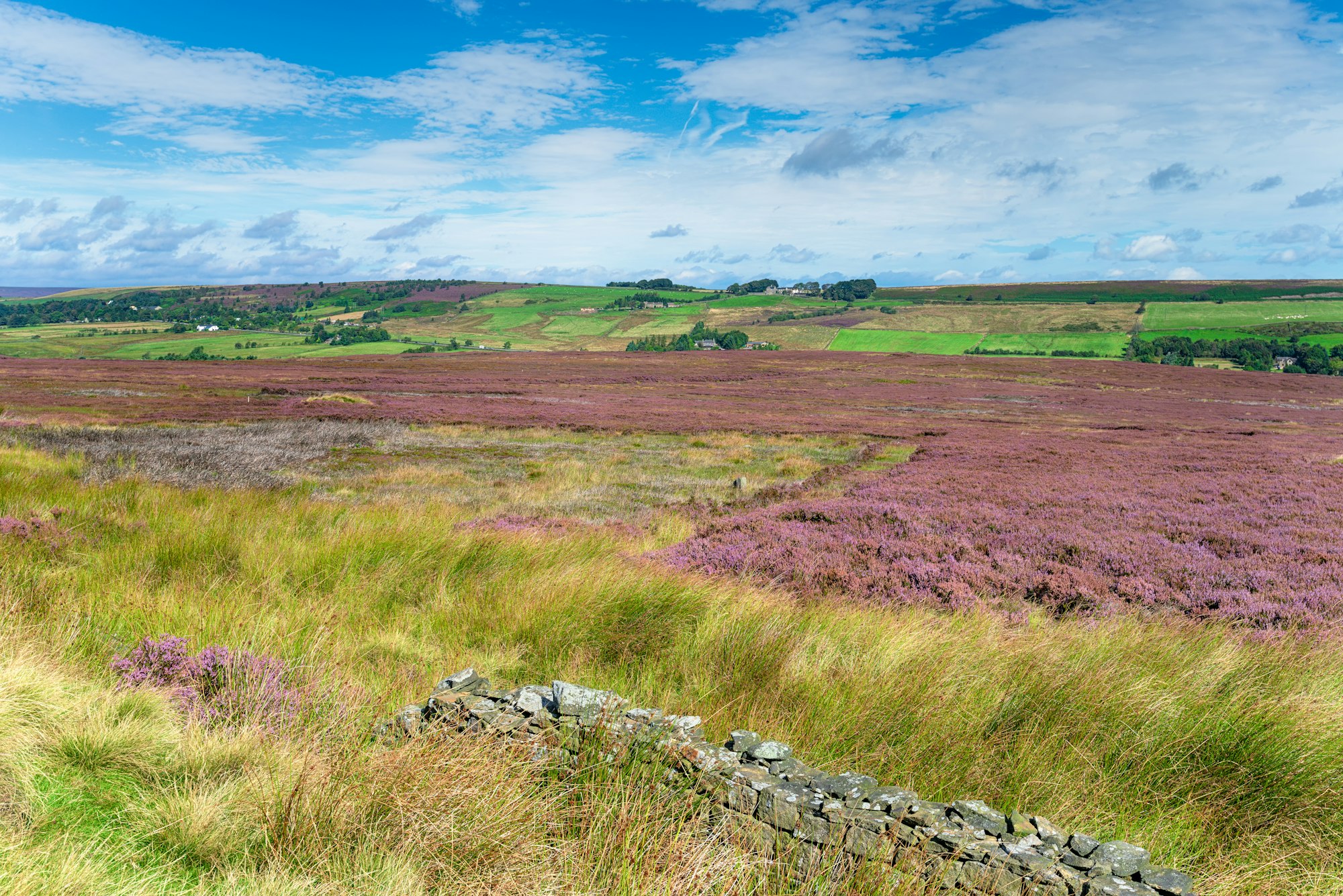 Redmires near Sheffield